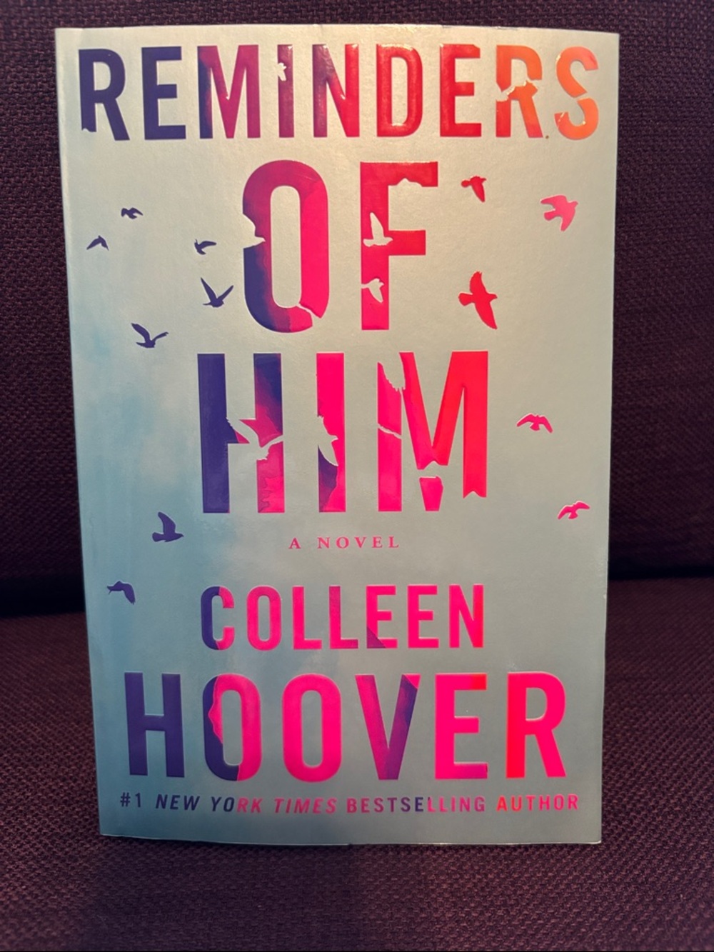 Colleen Hoover "Reminders of Him" Paperback